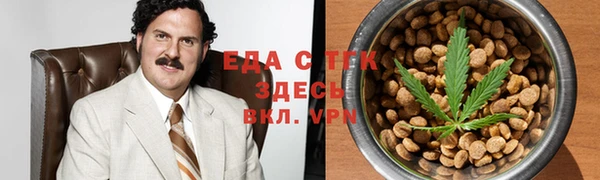 индика Билибино