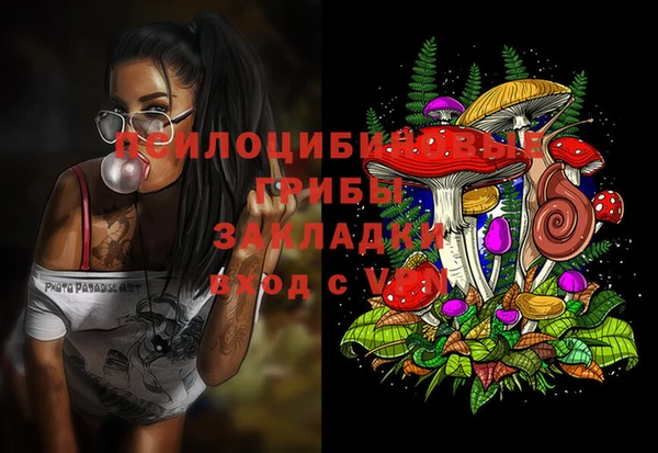 2c-b Бикин