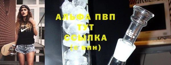 2c-b Бикин