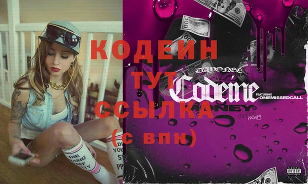 индика Билибино