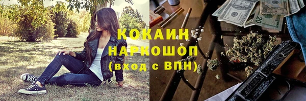 2c-b Бикин