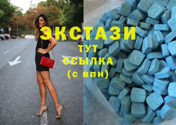 индика Билибино