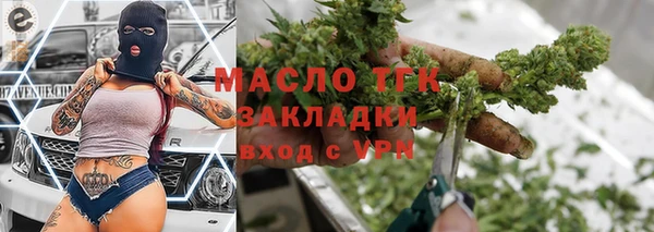 индика Билибино