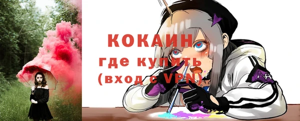 индика Билибино