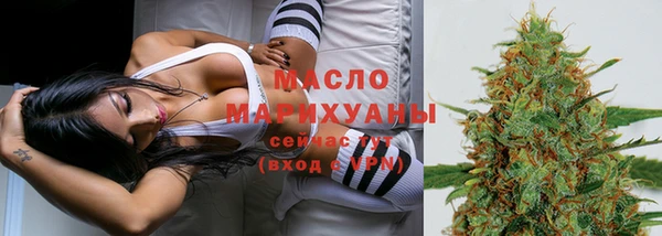 индика Билибино