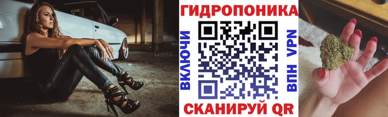 MEGA ссылки  Вичуга  Марихуана сатива 